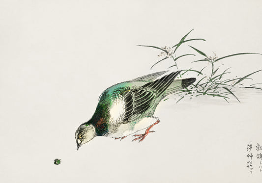 Plakat  Turtle Dove, Kashu Japoński Vintage do Salonu