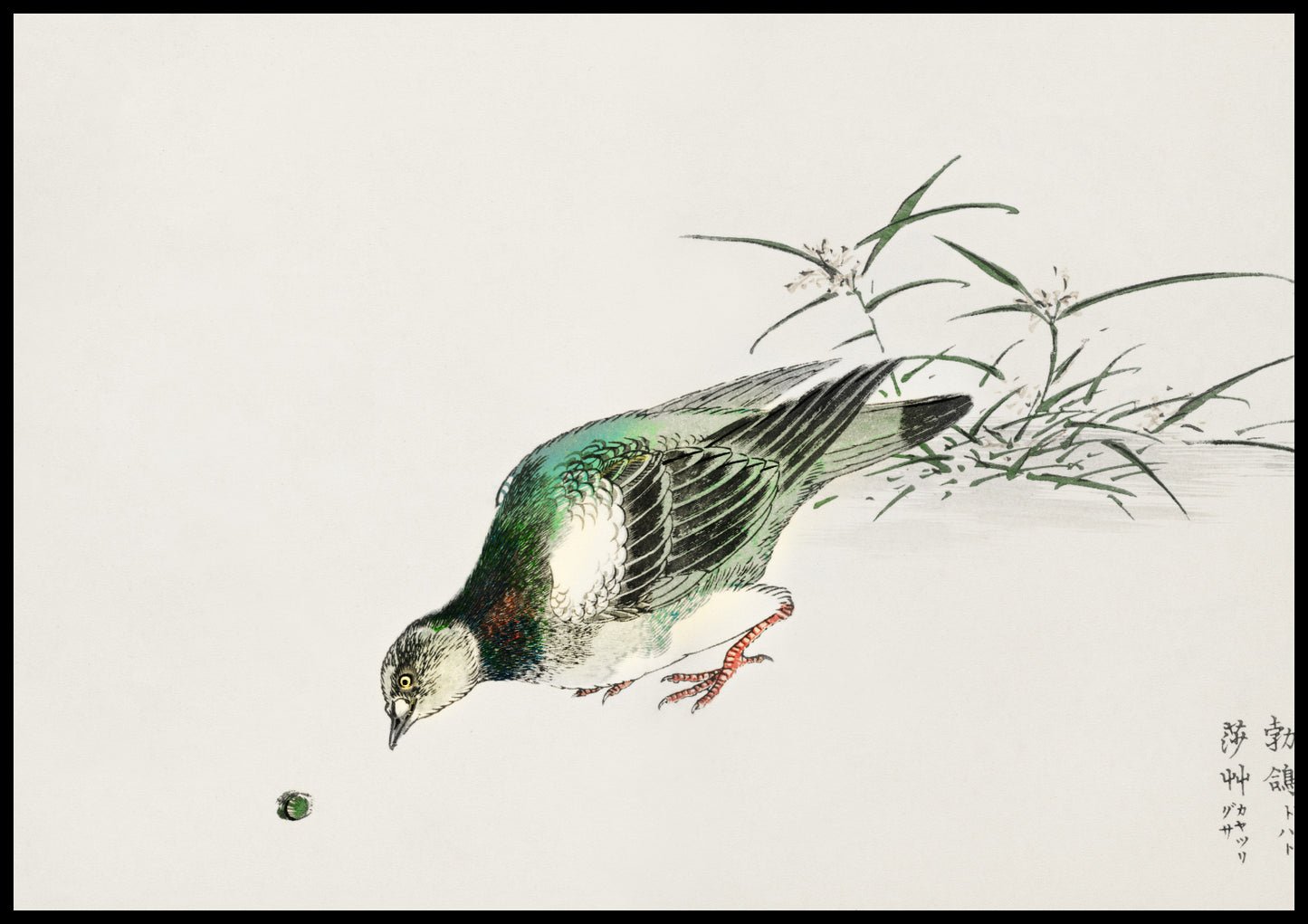 Plakat  Turtle Dove, Kashu Japoński Vintage do Salonu