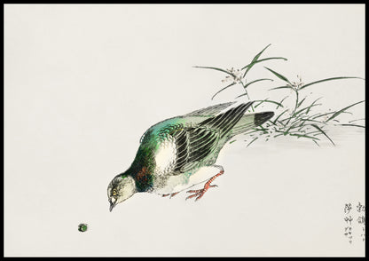 Plakat  Turtle Dove, Kashu Japoński Vintage do Salonu