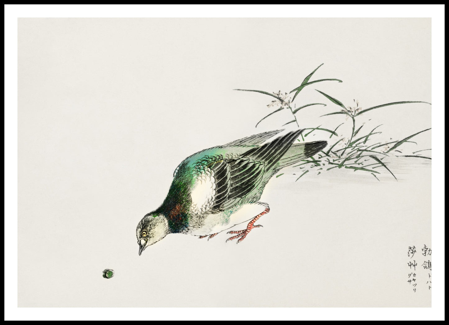 Plakat  Turtle Dove, Kashu Japoński Vintage do Salonu
