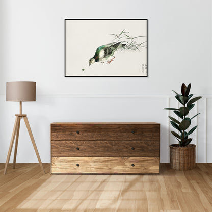 Plakat  Turtle Dove, Kashu Japoński Vintage do Salonu