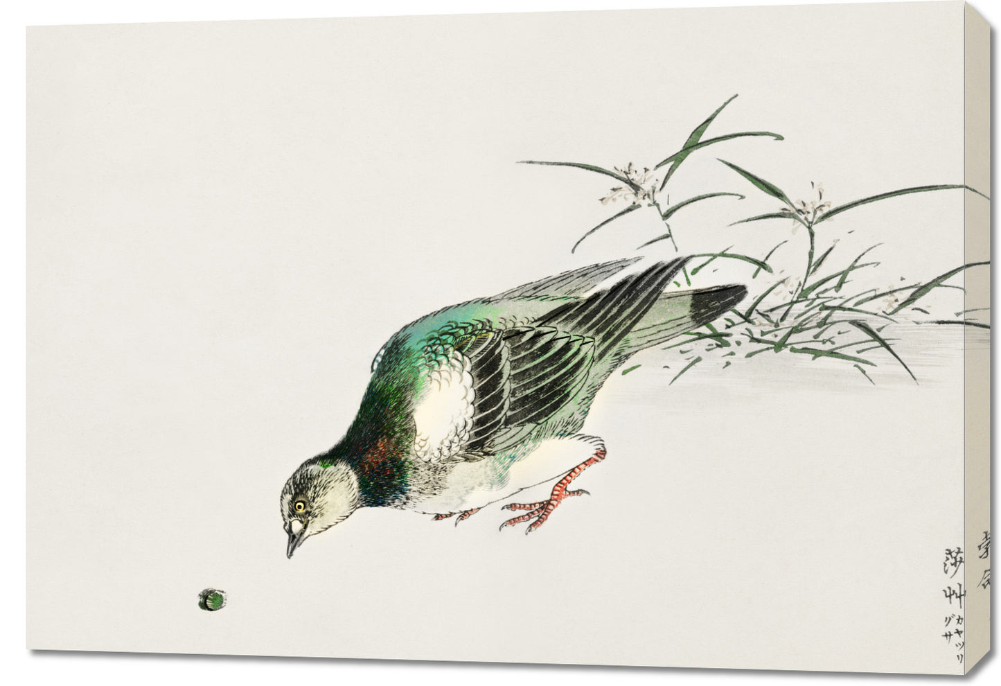 Obraz  Turtle Dove, Kashu Japoński Vintage do Salonu