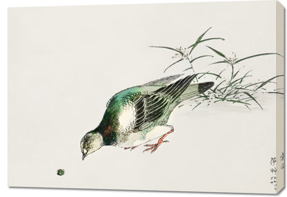 Obraz  Turtle Dove, Kashu Japoński Vintage do Salonu