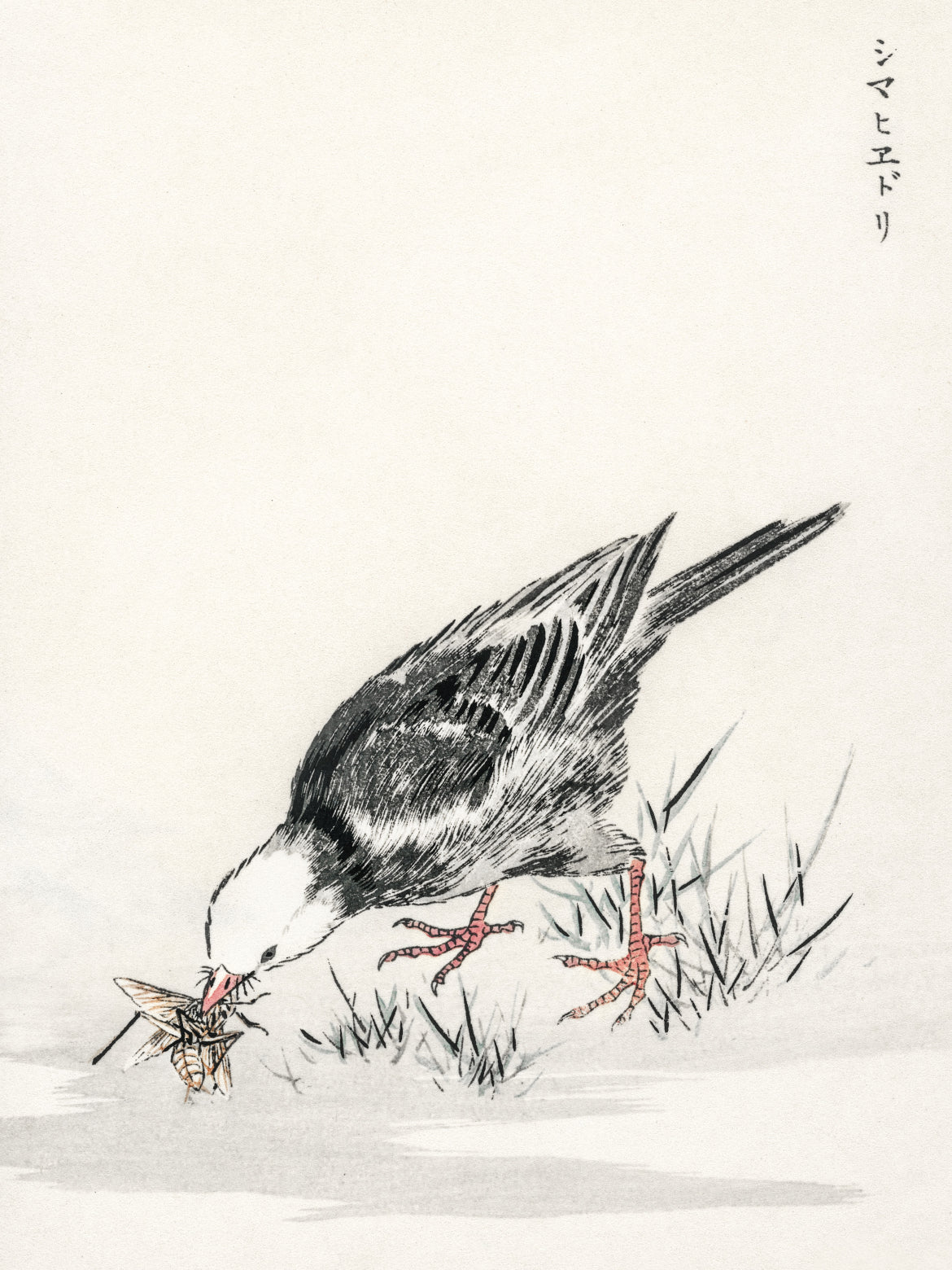 Plakat  Bulbul, Kashu Japoński Vintage do Salonu