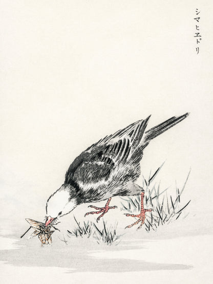 Plakat  Bulbul, Kashu Japoński Vintage do Salonu