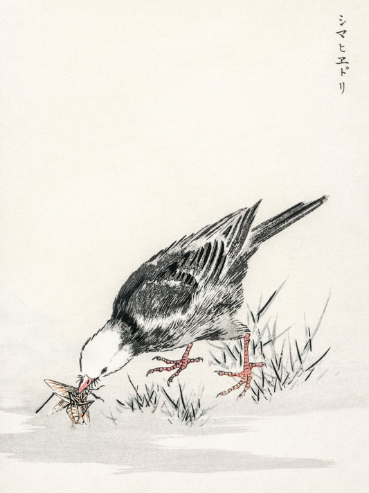 Plakat  Bulbul, Kashu Japoński Vintage do Salonu