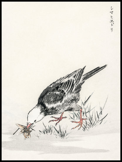 Plakat  Bulbul, Kashu Japoński Vintage do Salonu