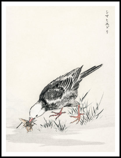 Plakat  Bulbul, Kashu Japoński Vintage do Salonu