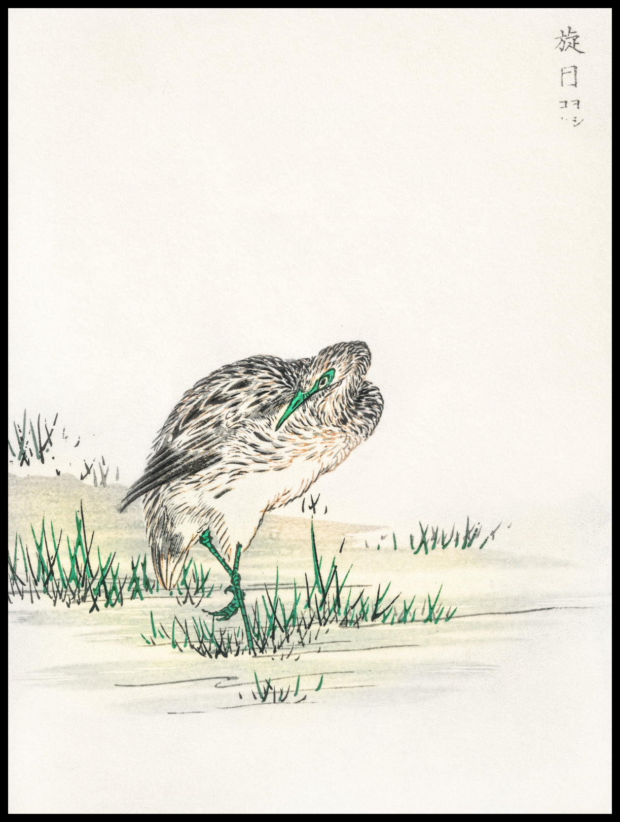 Plakat   Little Bittern, Kashu Japoński Vintage do Salonu