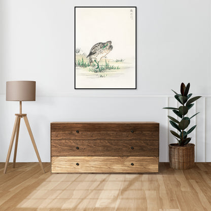 Plakat   Little Bittern, Kashu Japoński Vintage do Salonu