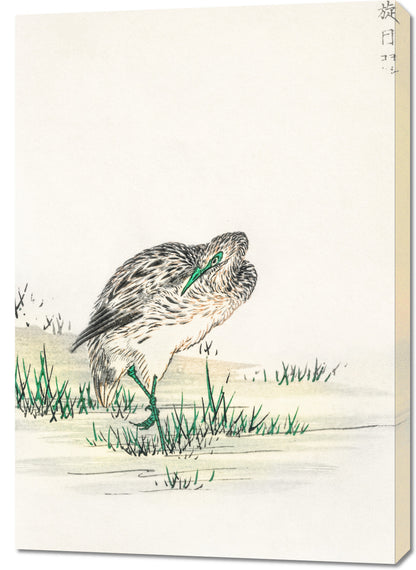Obraz   Little Bittern, Kashu Japoński Vintage do Salonu
