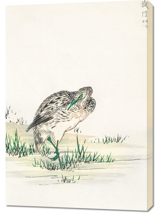 Obraz   Little Bittern, Kashu Japoński Vintage do Salonu