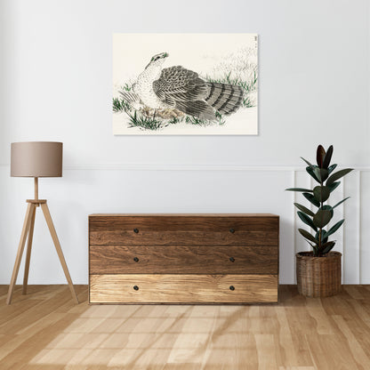 Obraz   Hawk-Eagle, Kashu Japoński Vintage do Salonu