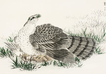 Plakat   Hawk-Eagle, Kashu Japoński Vintage do Salonu