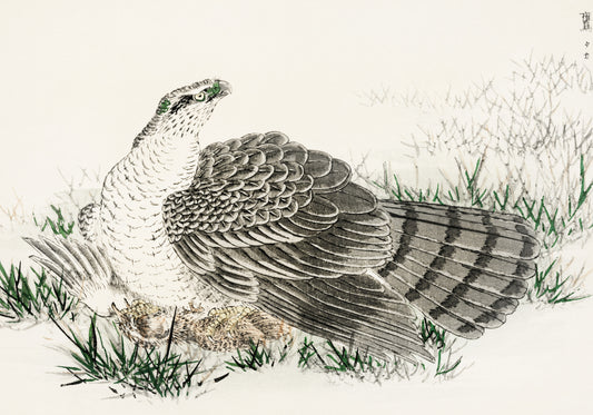 Plakat   Hawk-Eagle, Kashu Japoński Vintage do Salonu