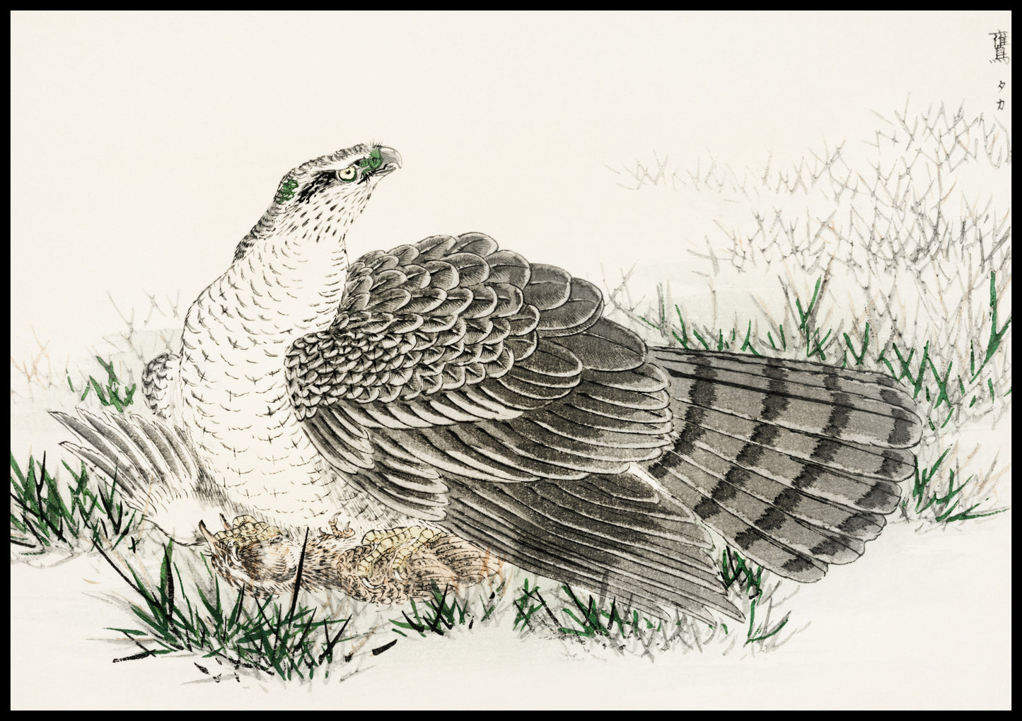 Plakat   Hawk-Eagle, Kashu Japoński Vintage do Salonu