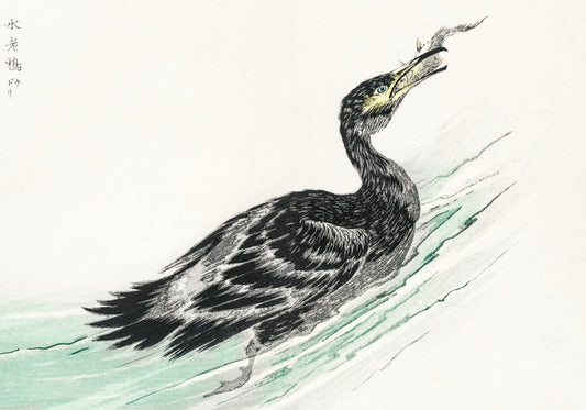Plakat  Cormorant, Kashu Japoński Vintage do Salonu