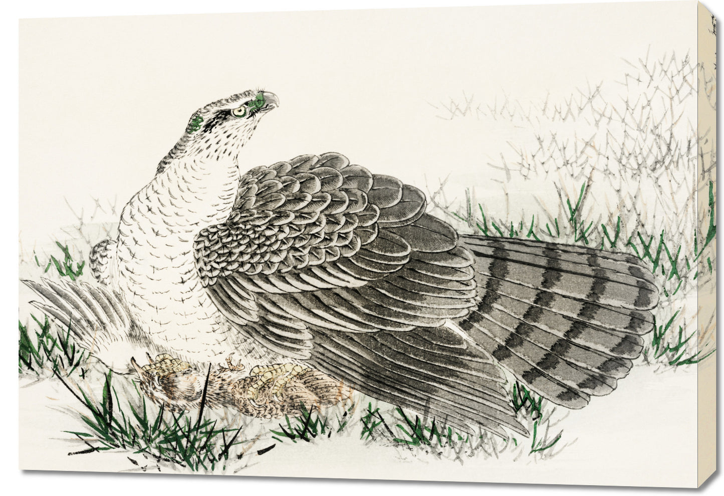 Obraz   Hawk-Eagle, Kashu Japoński Vintage do Salonu