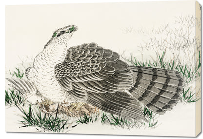 Obraz   Hawk-Eagle, Kashu Japoński Vintage do Salonu