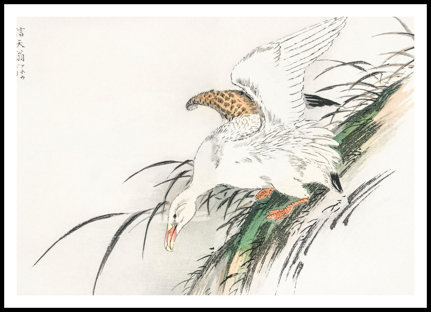 Plakat  Albatross, Kashu Japoński Vintage do Salonu