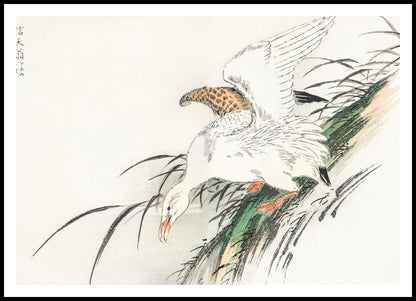 Plakat  Albatross, Kashu Japoński Vintage do Salonu