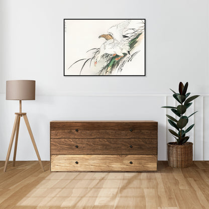 Plakat  Albatross, Kashu Japoński Vintage do Salonu