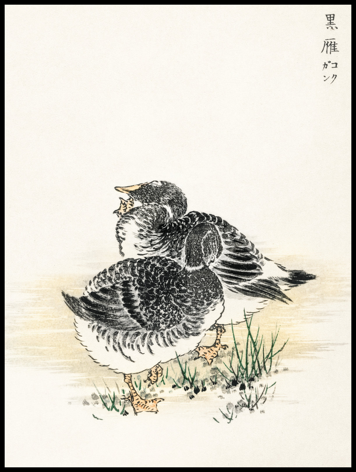 Plakat  Black Brant, Kashu Japoński Vintage do Salonu