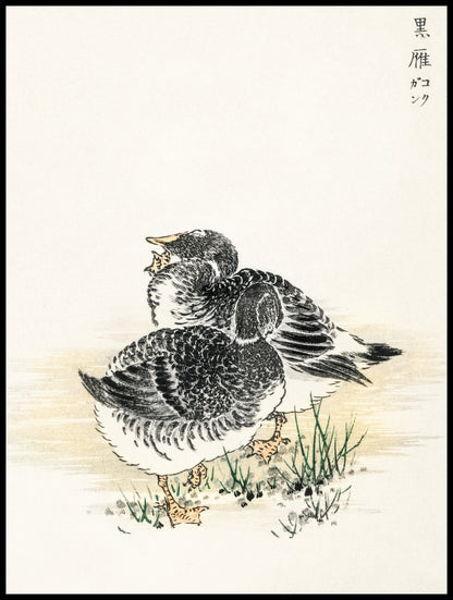 Plakat  Black Brant, Kashu Japoński Vintage do Salonu