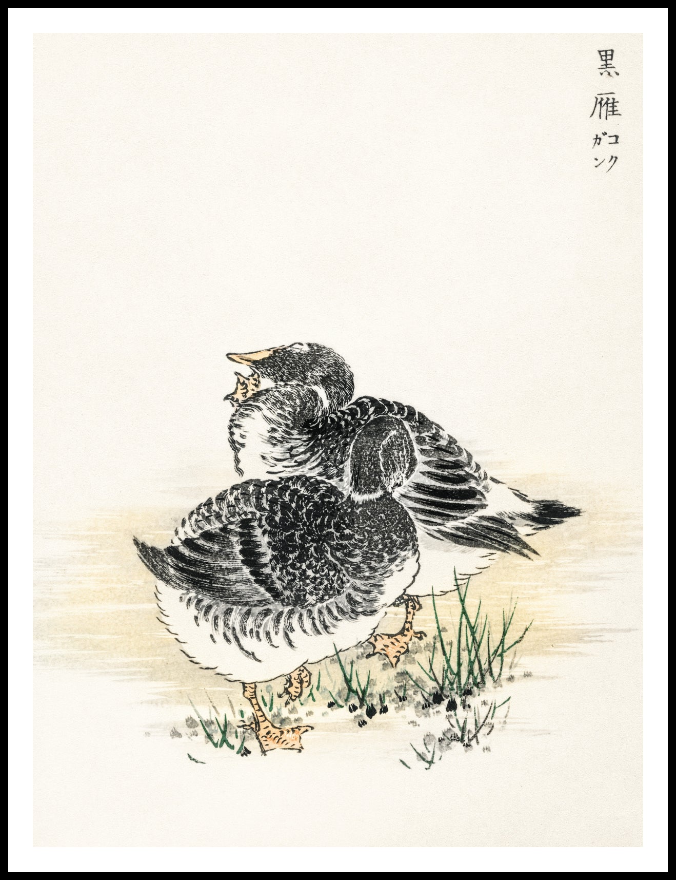 Plakat  Black Brant, Kashu Japoński Vintage do Salonu