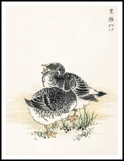 Plakat  Black Brant, Kashu Japoński Vintage do Salonu