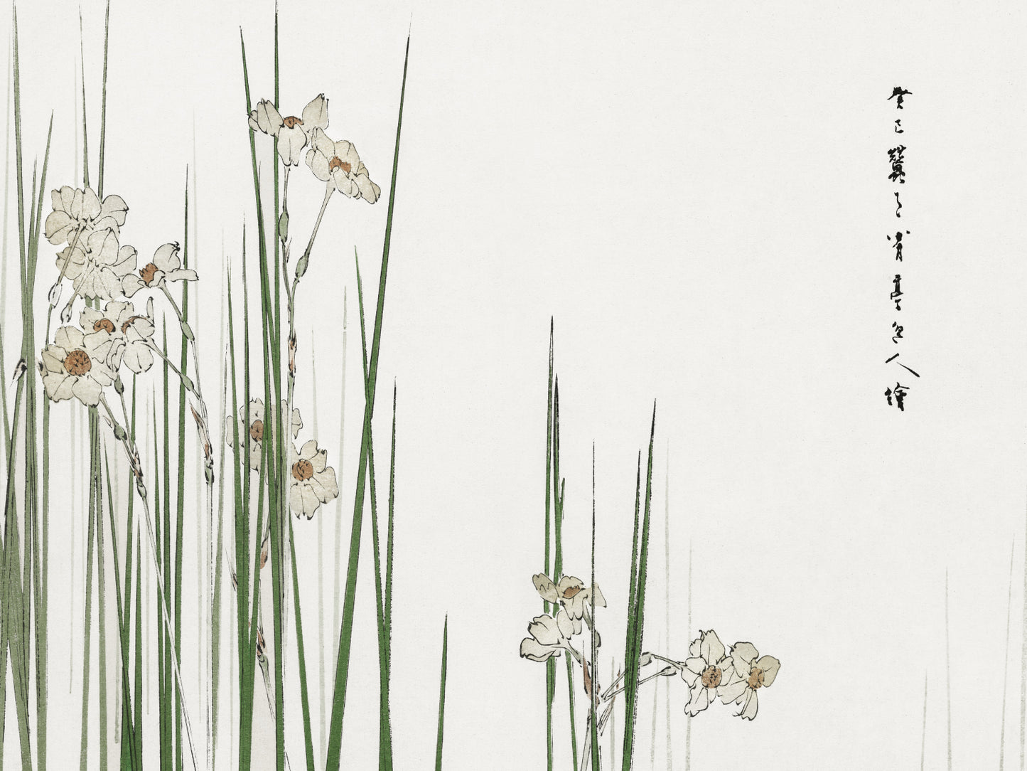 Plakat  Jonquil, Bijutsu Sekai Japoński Vintage