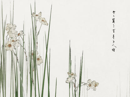 Plakat  Jonquil, Bijutsu Sekai Japoński Vintage