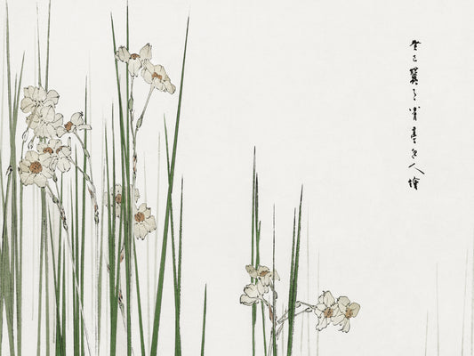 Plakat  Jonquil, Bijutsu Sekai Japoński Vintage