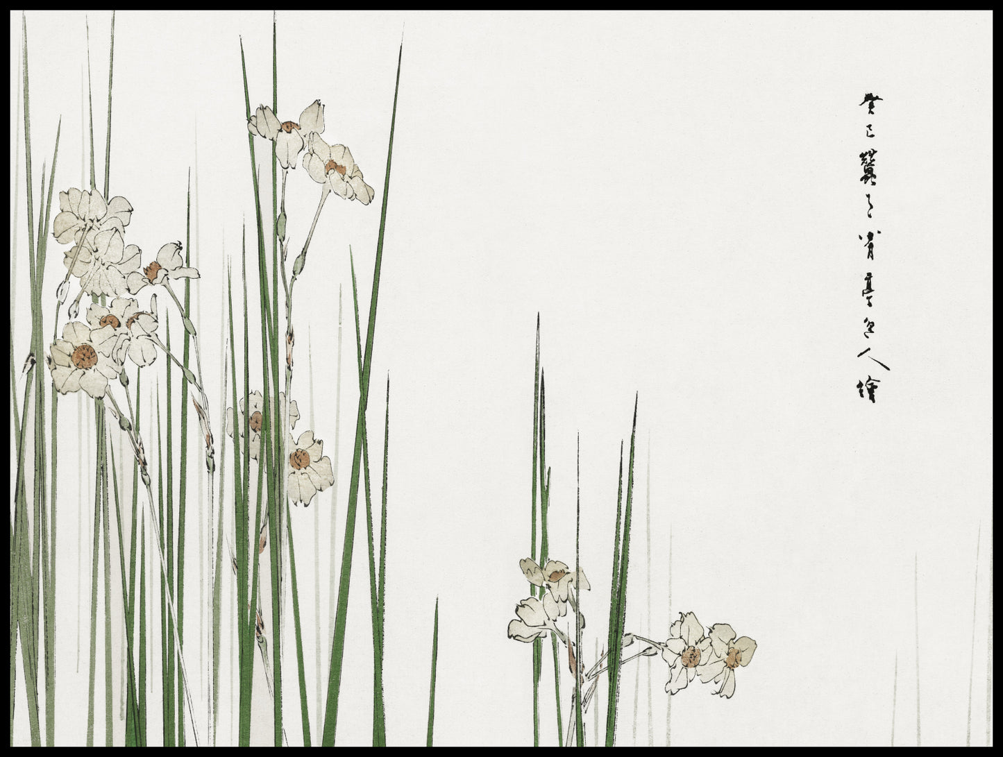 Plakat  Jonquil, Bijutsu Sekai Japoński Vintage
