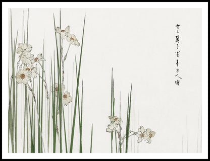 Plakat  Jonquil, Bijutsu Sekai Japoński Vintage