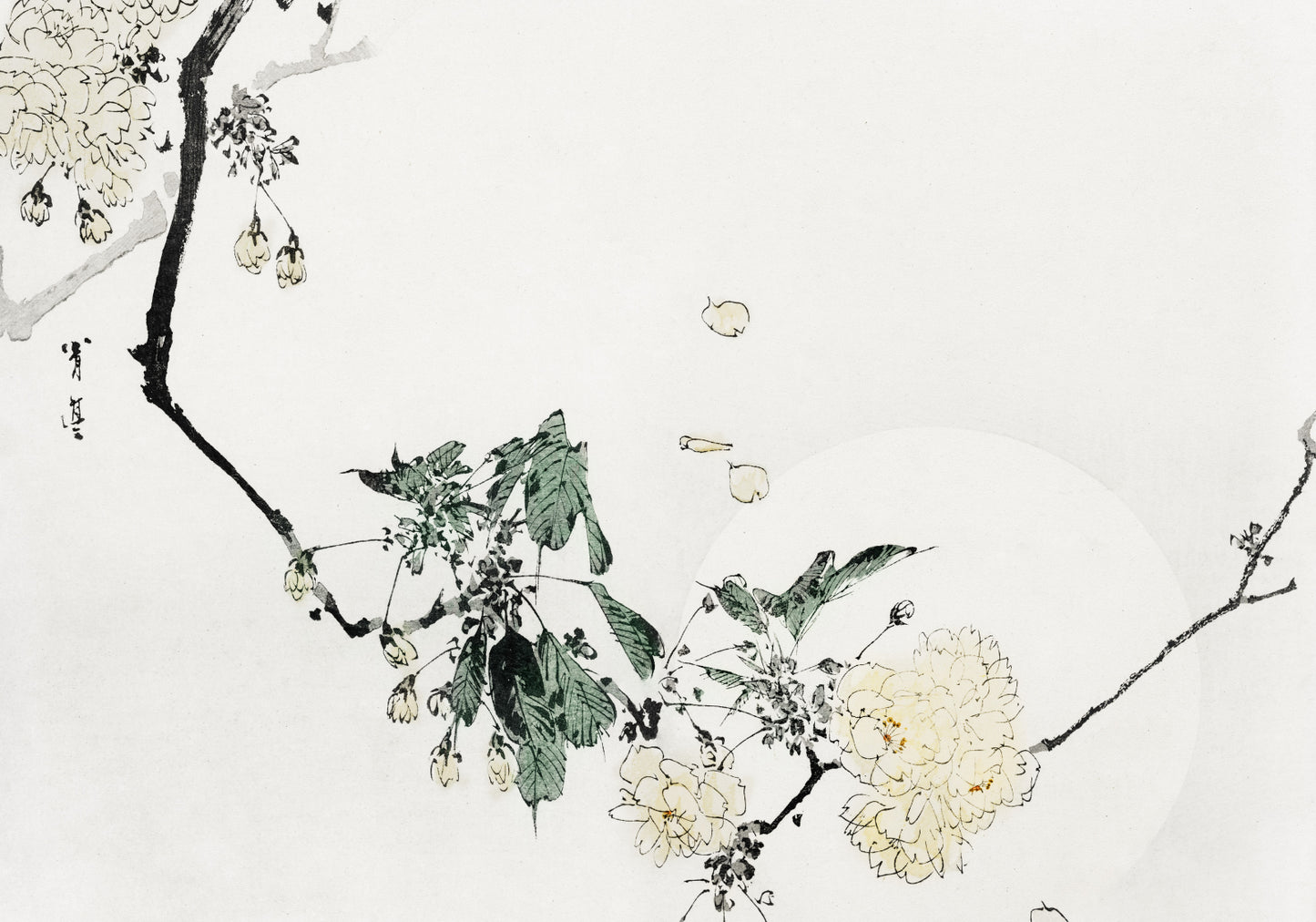 Plakat  Cherry Blossom,  Bijutsu Sekai Japoński Vintage