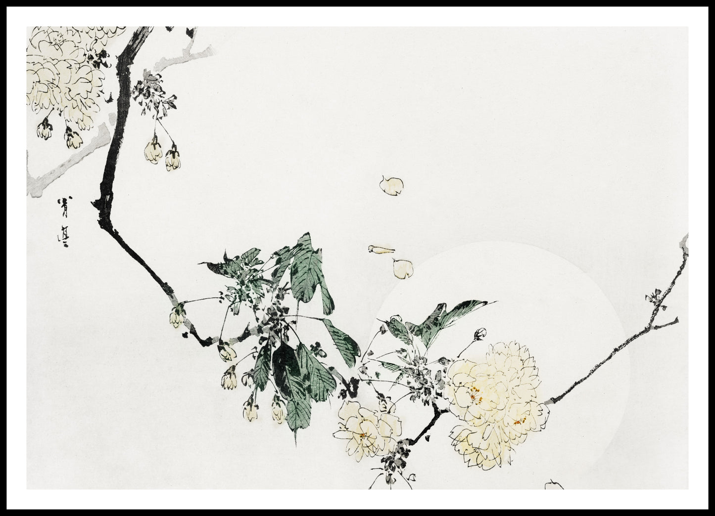 Plakat  Cherry Blossom,  Bijutsu Sekai Japoński Vintage