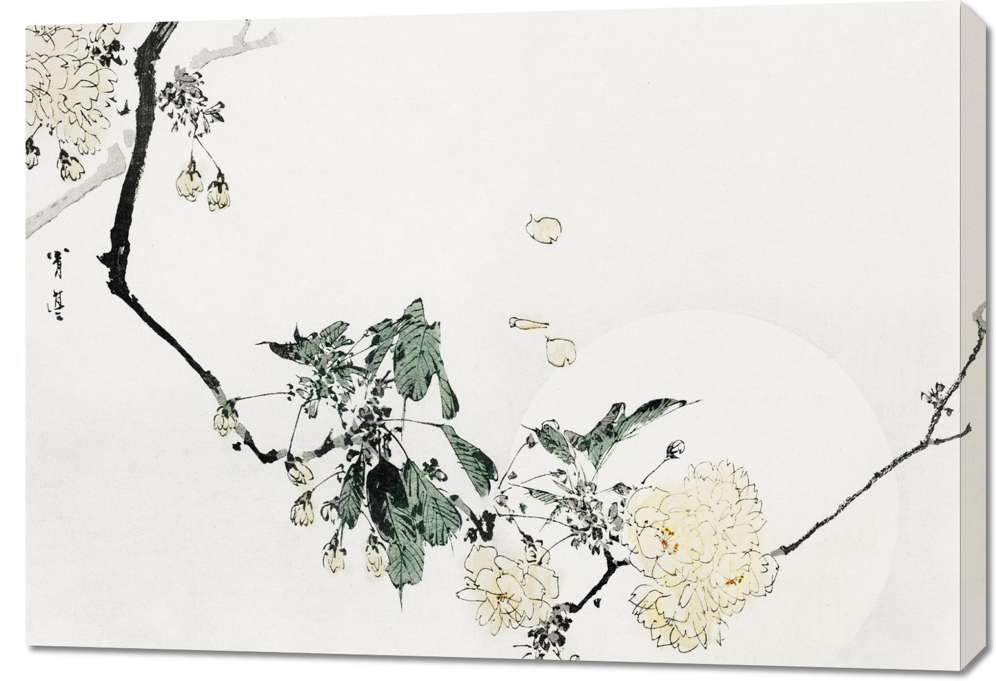 Obraz  Cherry Blossom,  Bijutsu Sekai Japoński Vintage