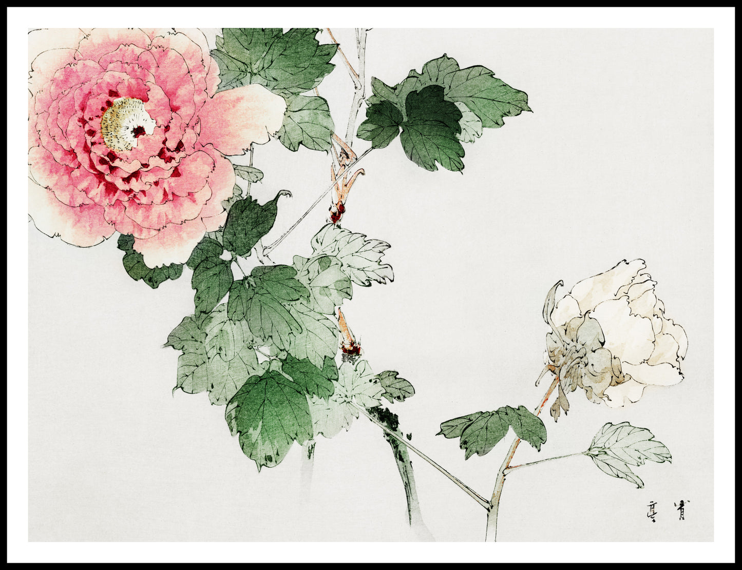 Plakat  Tree Peony, Bijutsu Sekai Japoński Vintage do Salonu