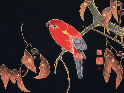 Plakat  Red Parrot, Jakuchu Japoński Vintage do Salonu