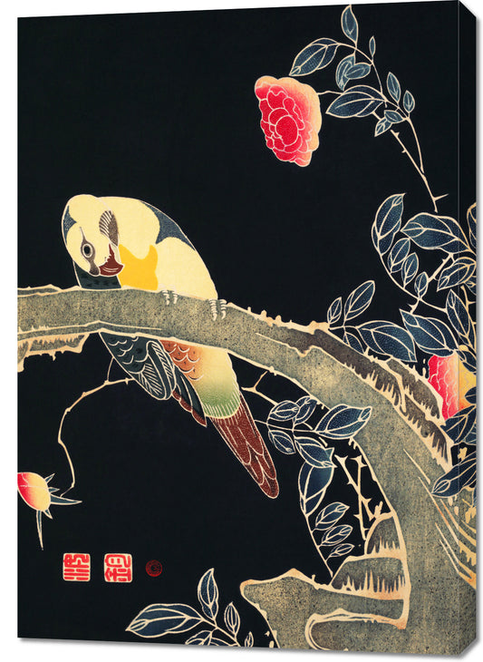 Obraz  Parrot on the Branch, Jakuchu Japoński Vintage