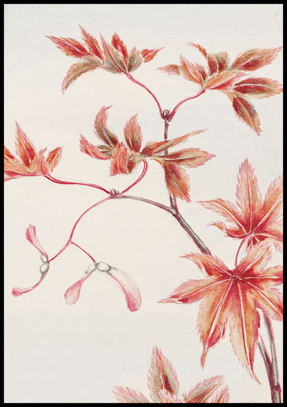 Plakat  Branch of Momiji, Morikaga Japoński Vintage