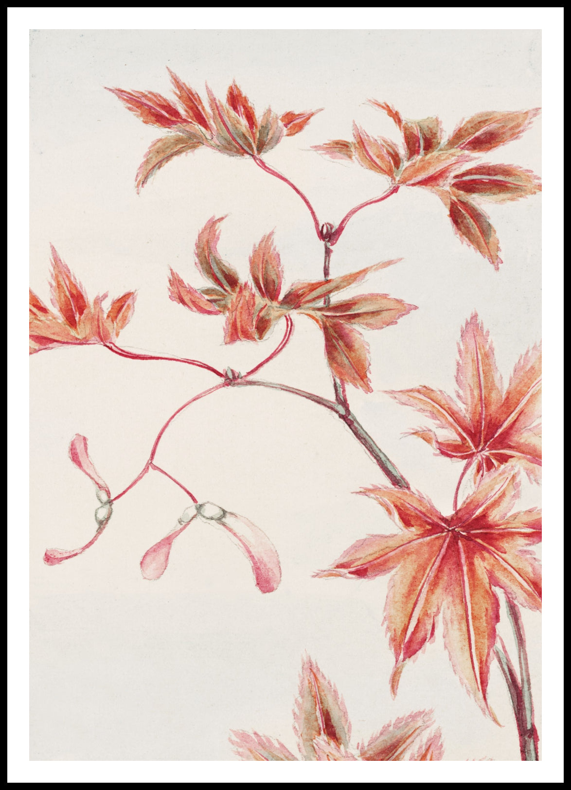 Plakat  Branch of Momiji, Morikaga Japoński Vintage