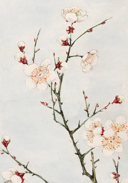 Plakat  Plum Branches, Morikaga Japoński Vintage