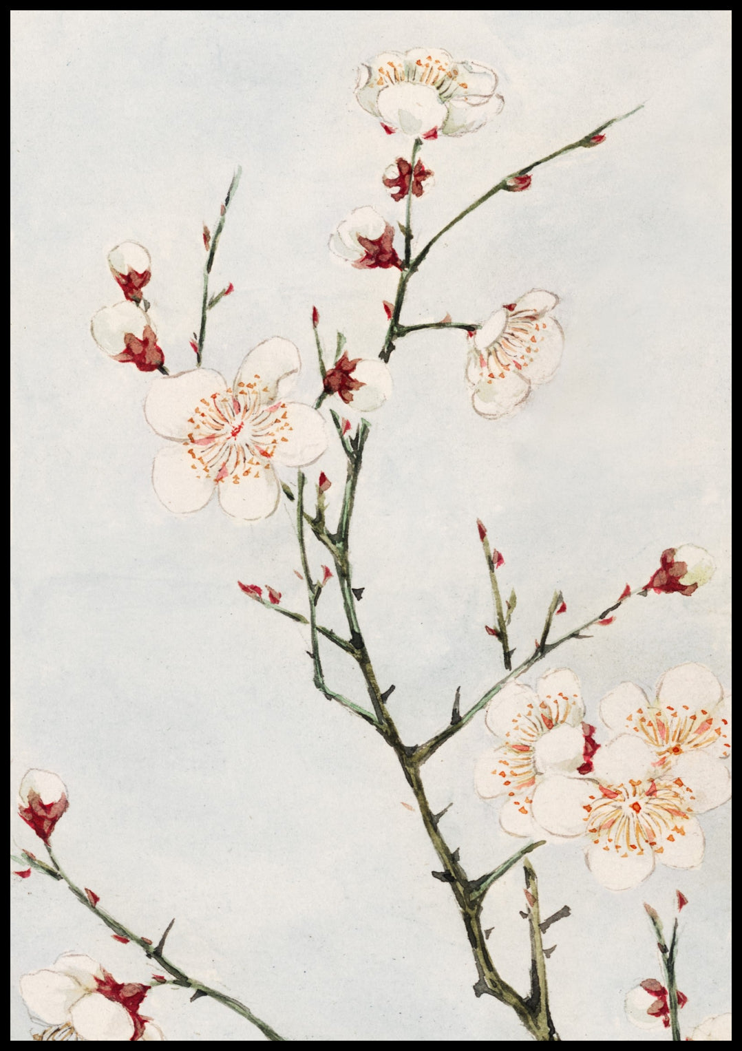 Plakat  Plum Branches, Morikaga Japoński Vintage