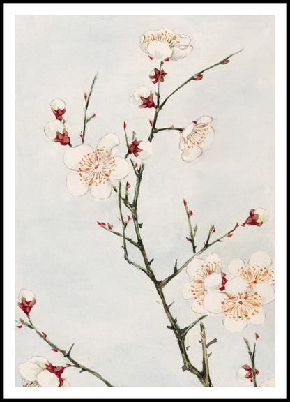 Plakat  Plum Branches, Morikaga Japoński Vintage