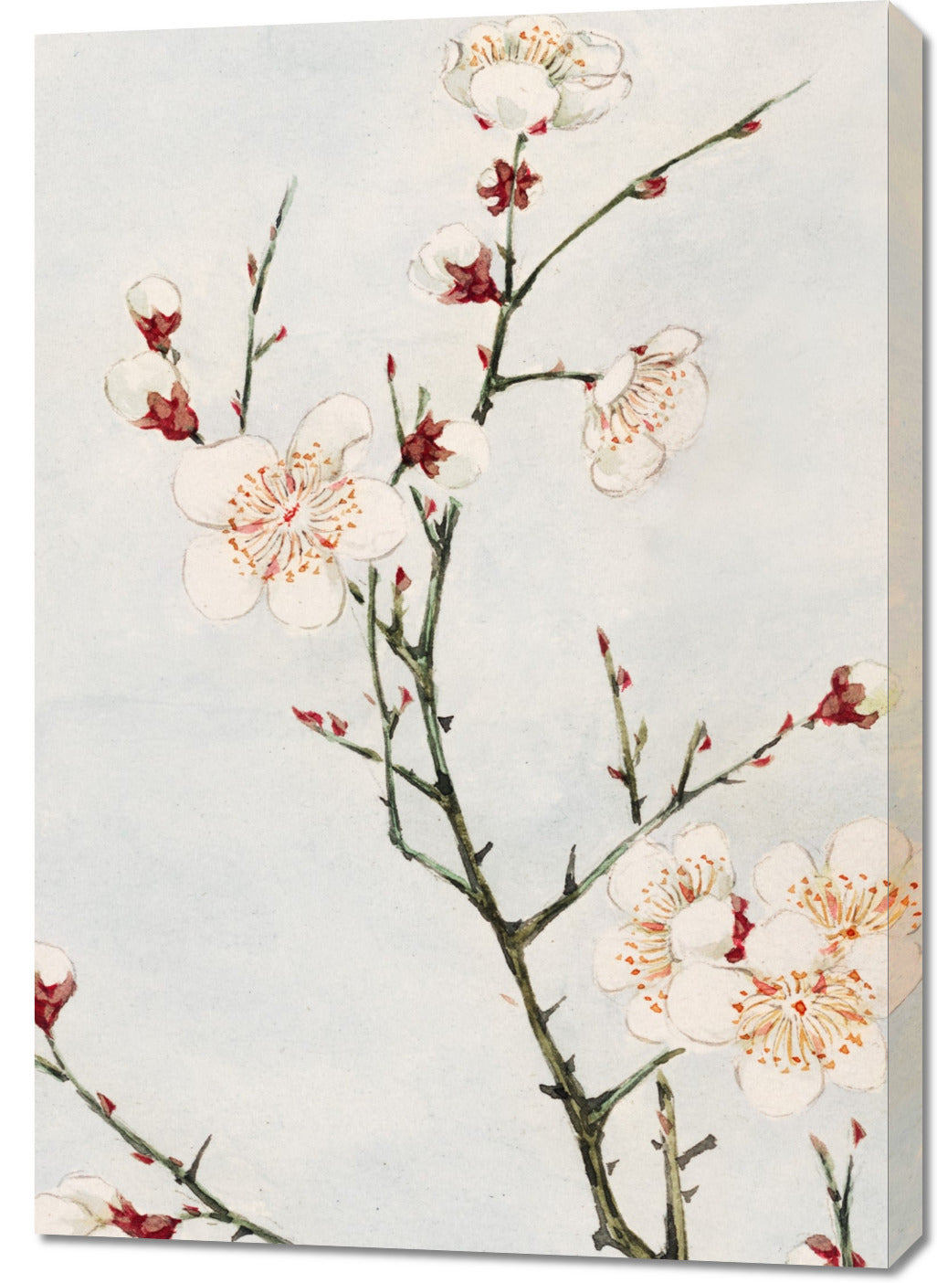 Obraz  Plum Branches, Morikaga Japoński Vintage