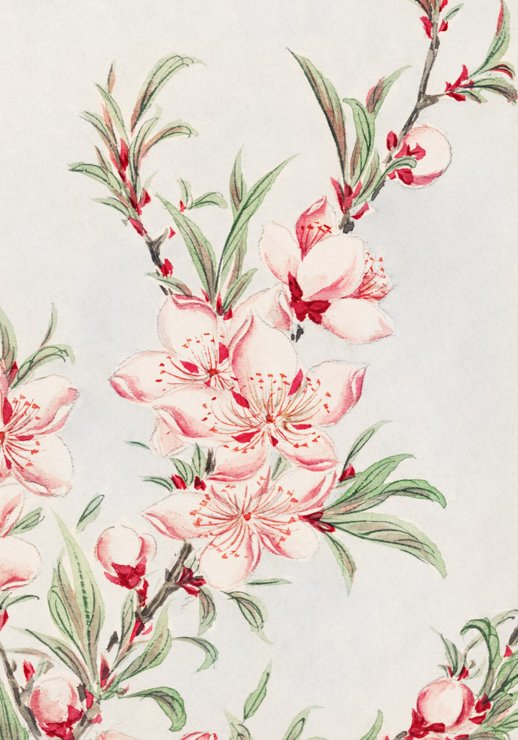 Plakat  Peach Tree, Morikaga Japoński Vintage