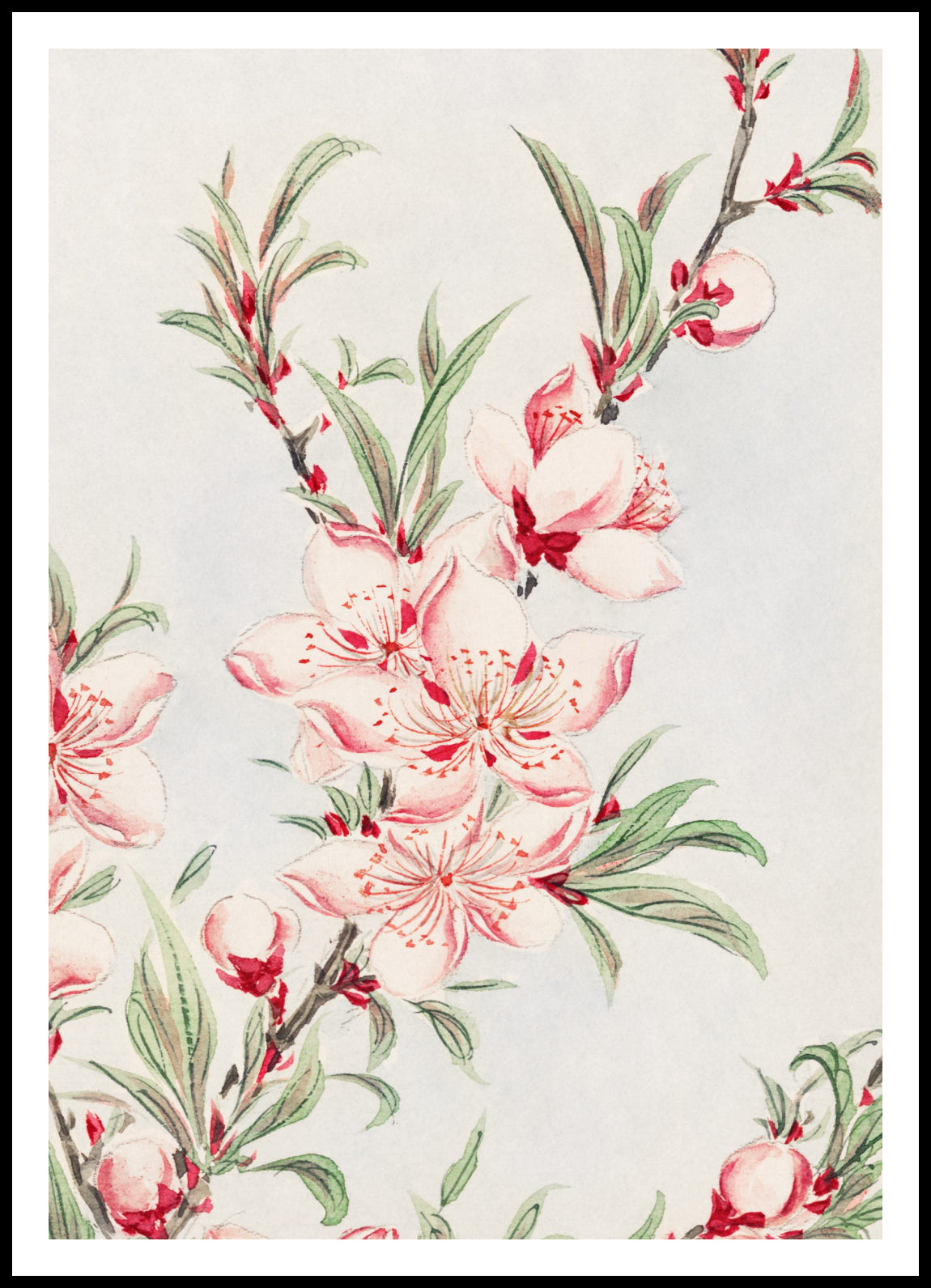 Plakat  Peach Tree, Morikaga Japoński Vintage