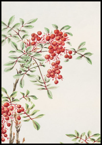 Plakat  Nandina Bush, Morikaga Japoński Vintage do Salonu